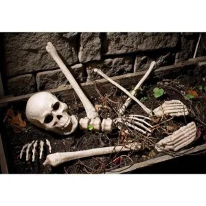 Bag O’ Bones 10 Piece