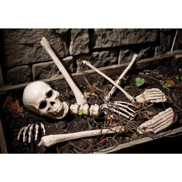 Bag O’ Bones 10 Piece