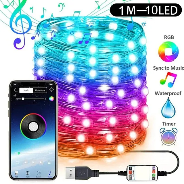 Bluetooth LED Christmas Lights