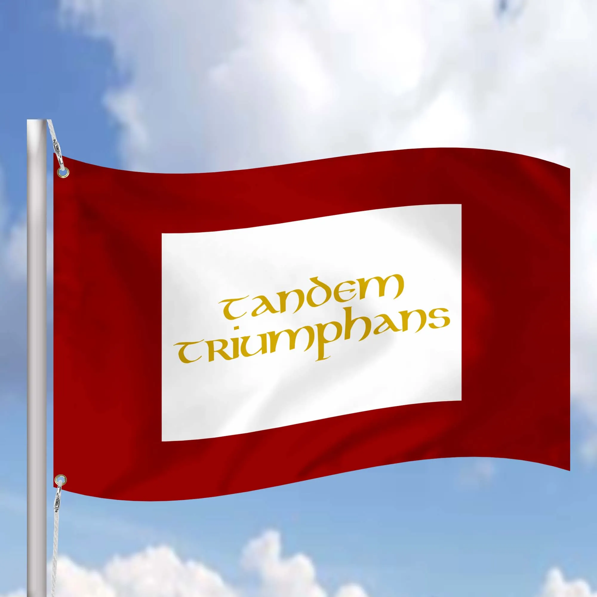 British Empire Jacobitism Jacobite Standard 1688 - 1745 Flag Banner