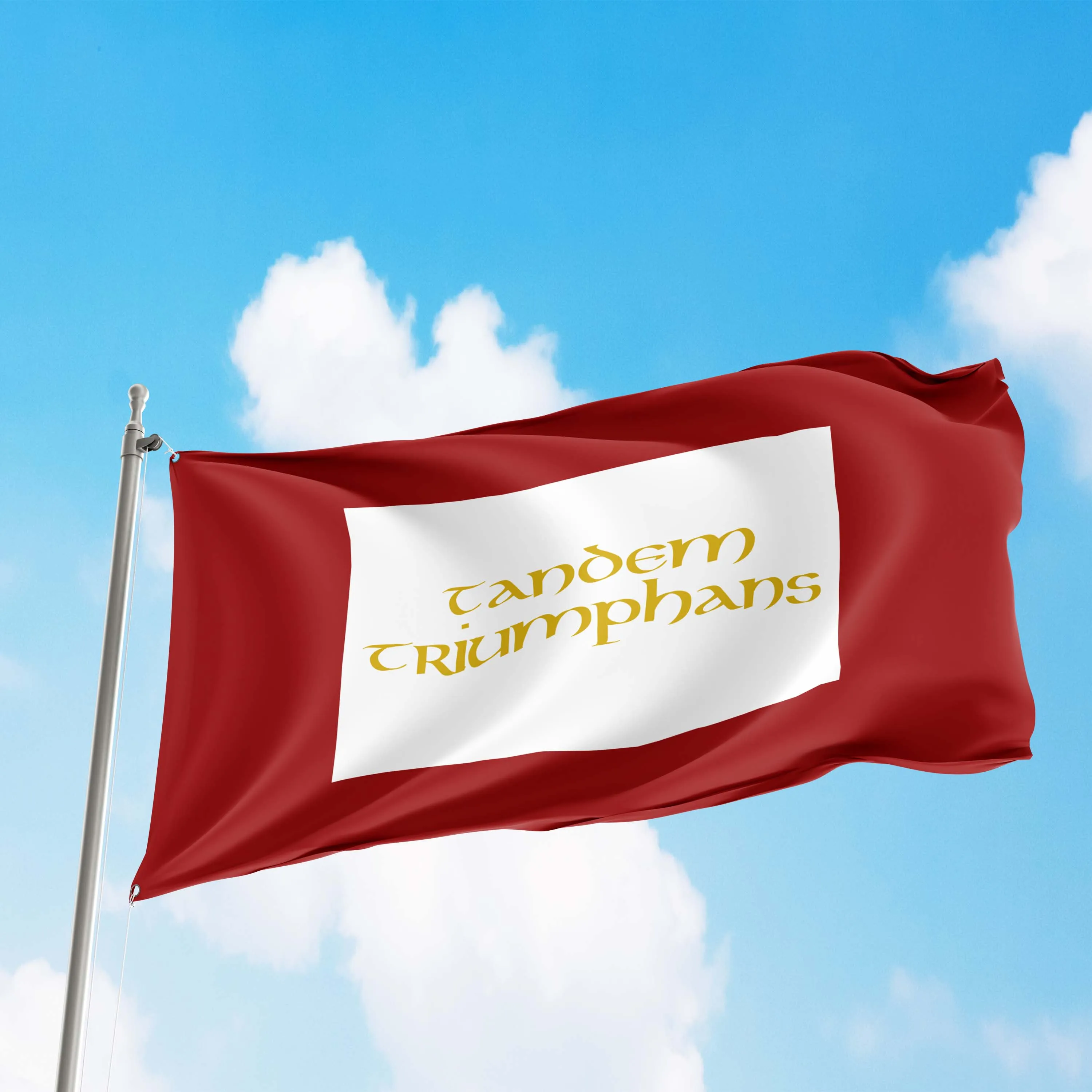 British Empire Jacobitism Jacobite Standard 1688 - 1745 Flag Banner