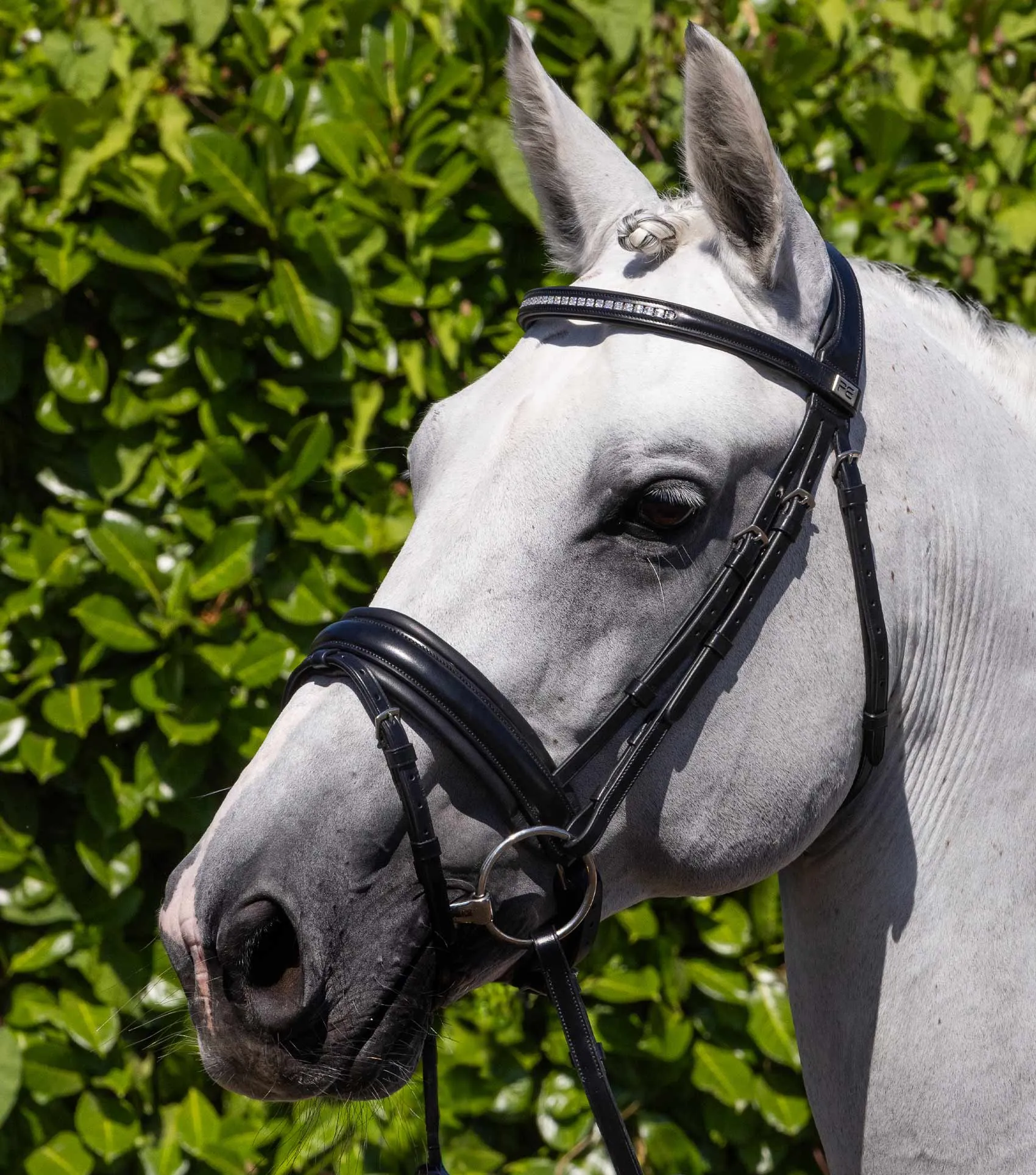 Castello Anatomical Bridle Black