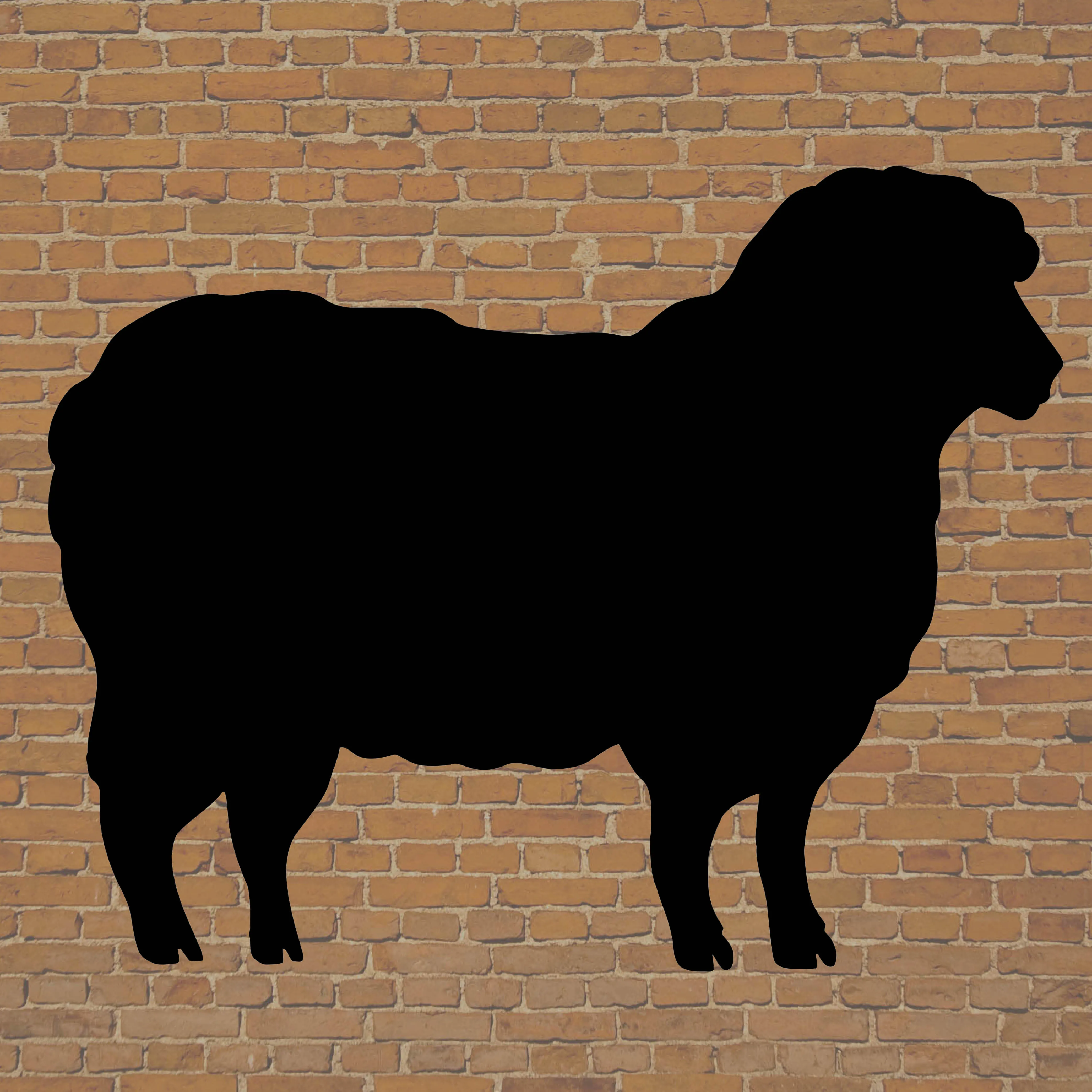 Chalkboard - Farmyard Set of 5