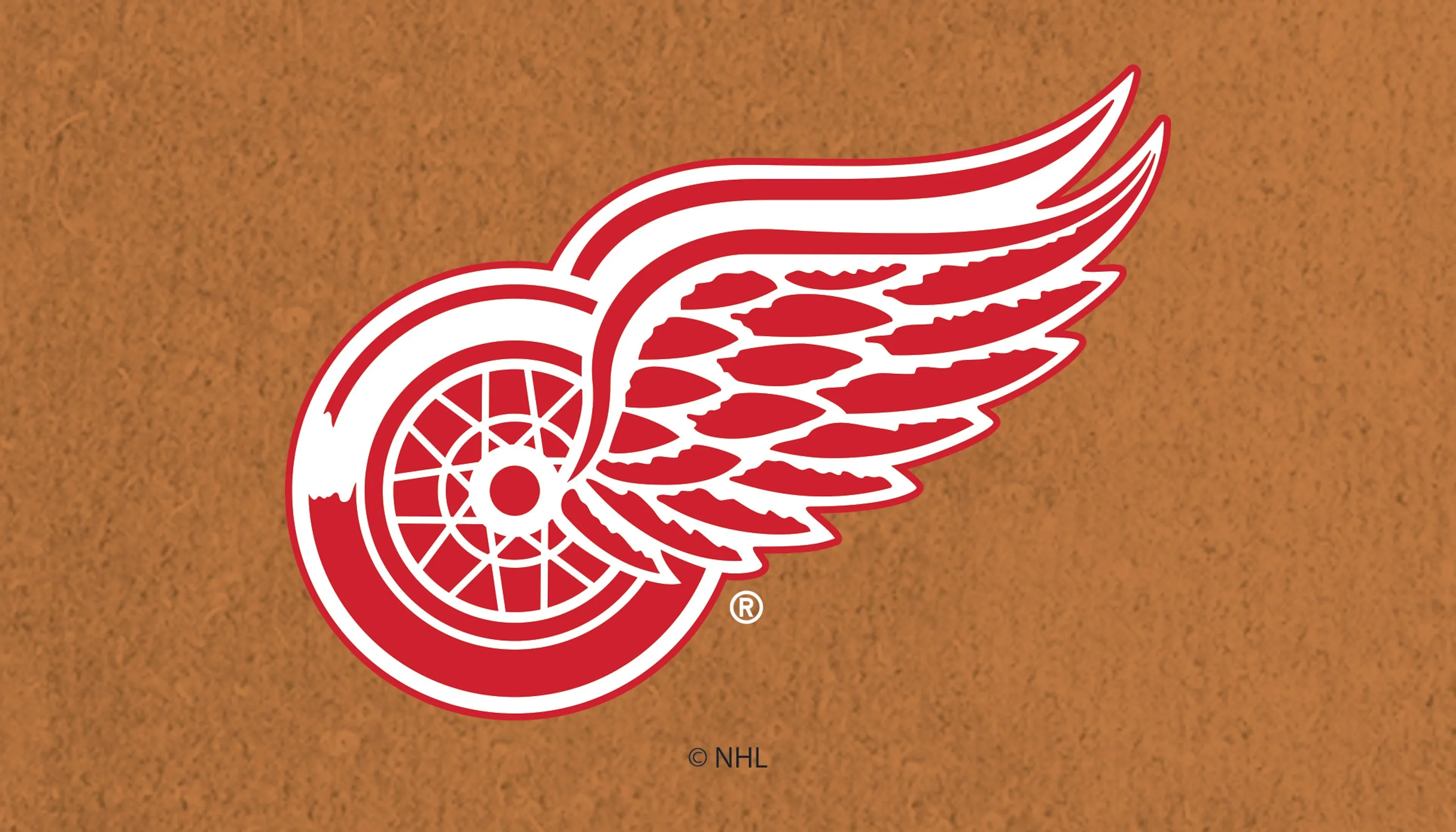 Coir Mat, 16"x28", Detroit Red Wings,2rm4359usa