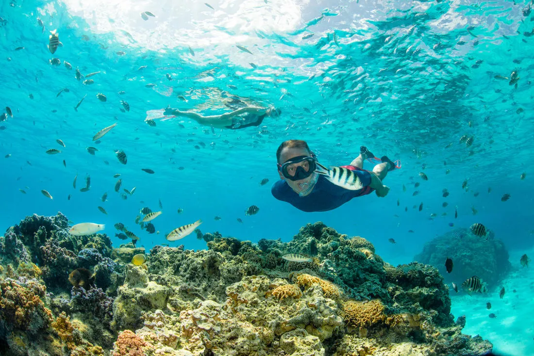 Diving mask 100 Comfort hazy