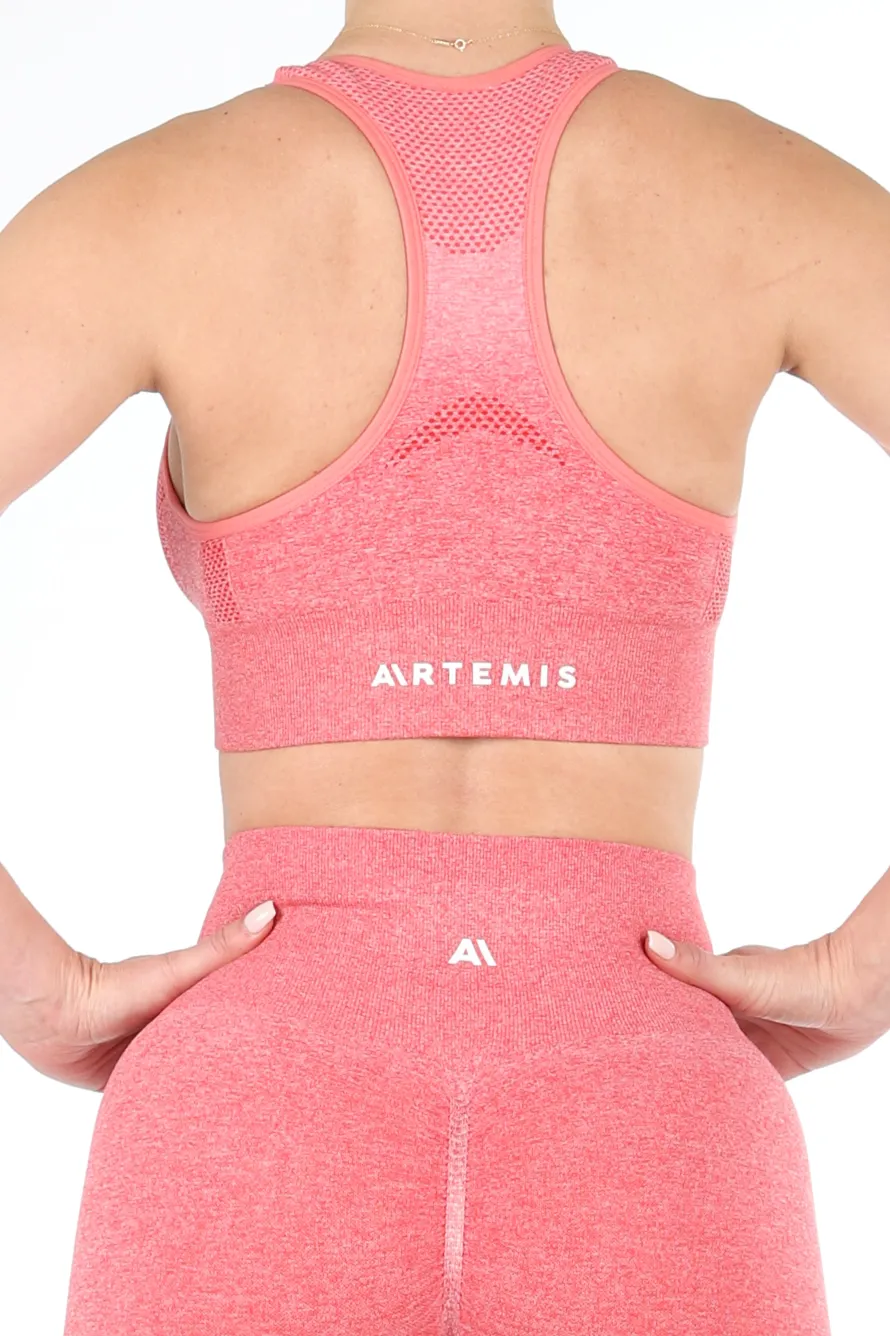 Ella Ombre Sports Bra Watermelon