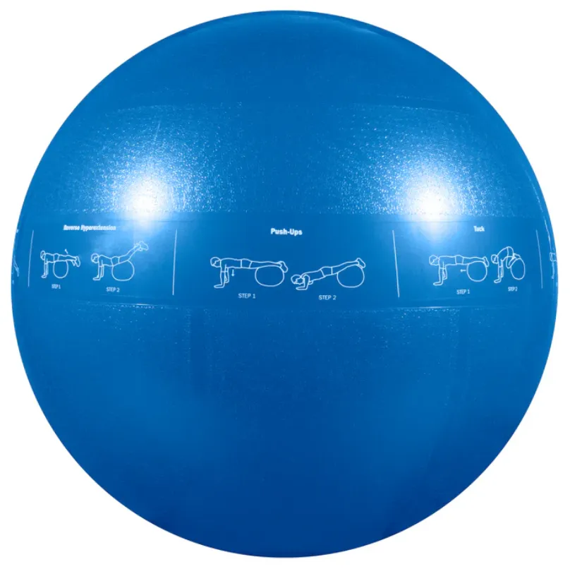 GoFit ProBall Stability Ball