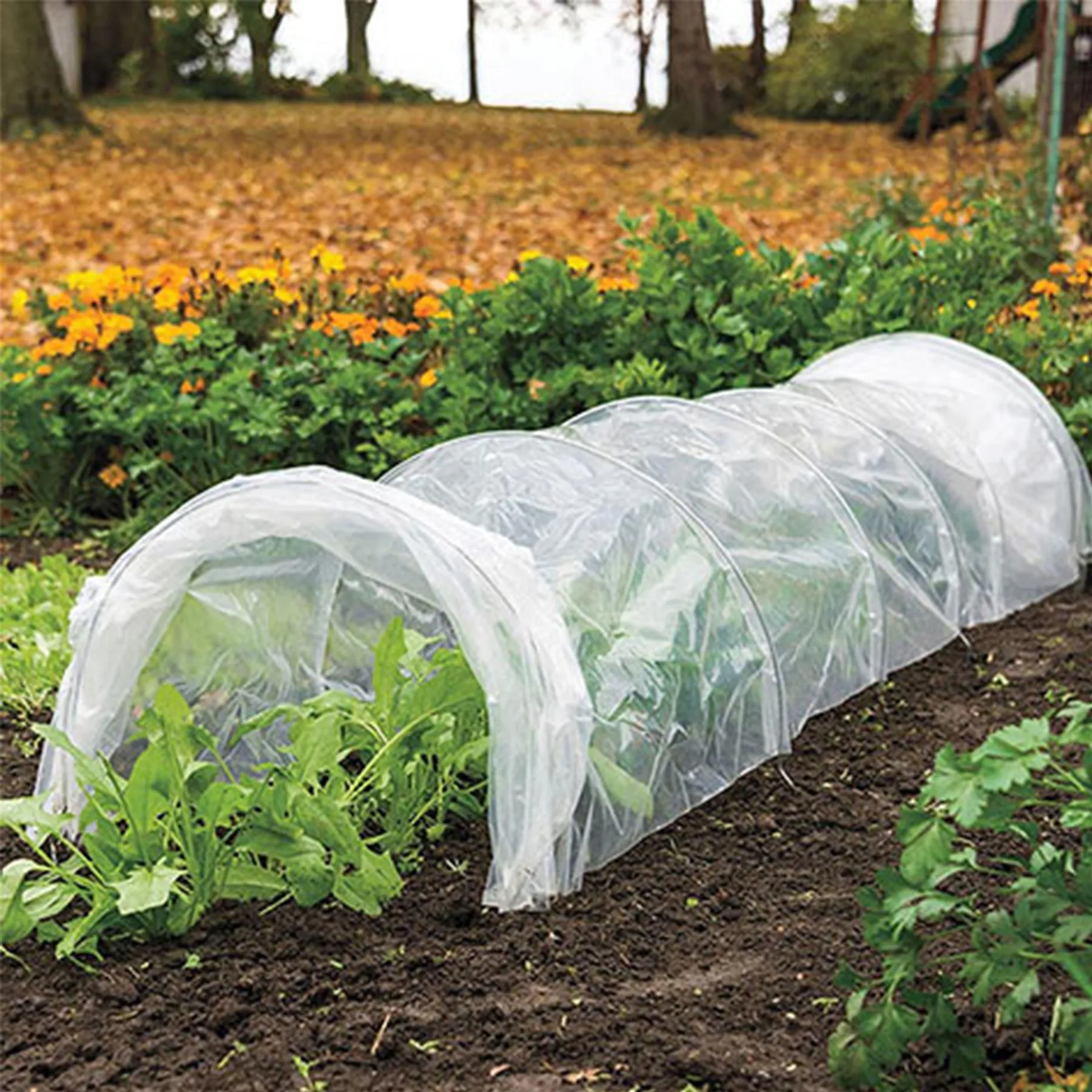 Greenhouse Polytunnel