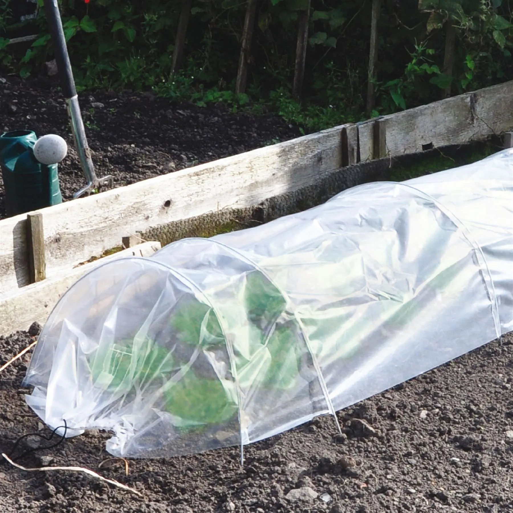 Greenhouse Polytunnel