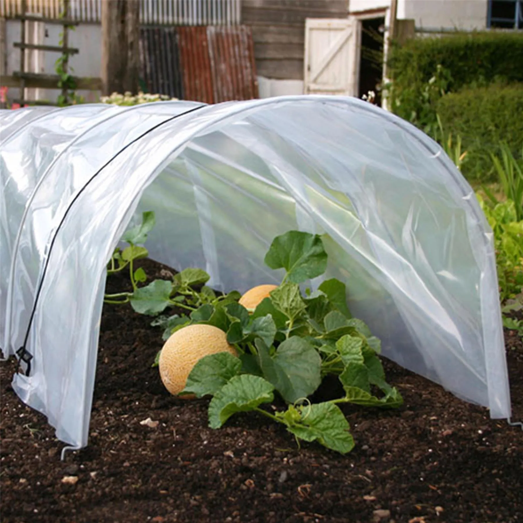 Greenhouse Polytunnel