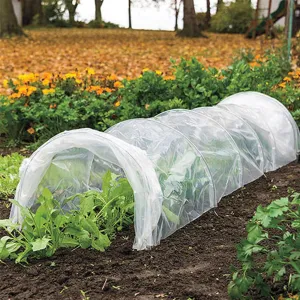 Greenhouse Polytunnel