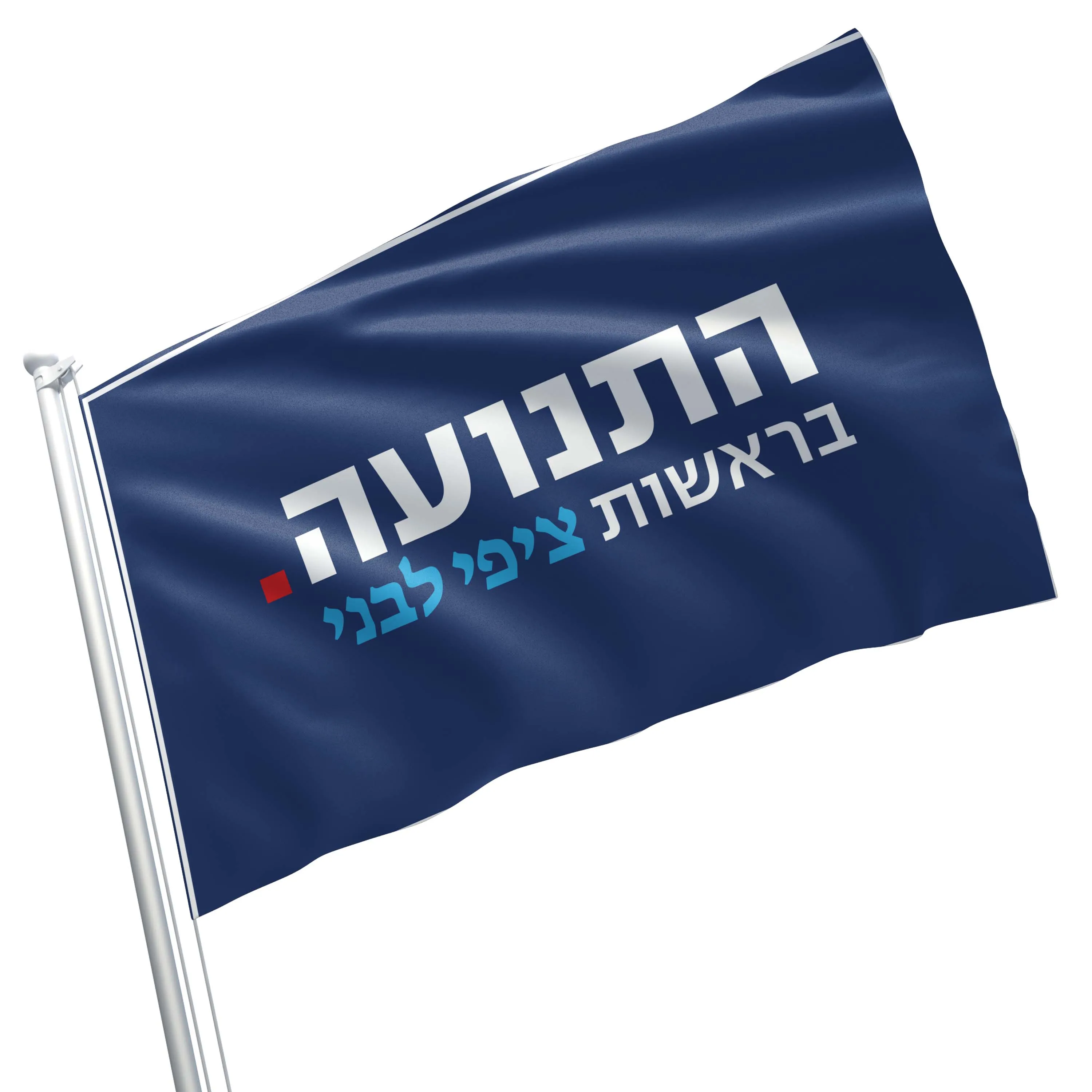 Hatnua - The Israel Democracy Institute Hatnuah Flag Banner