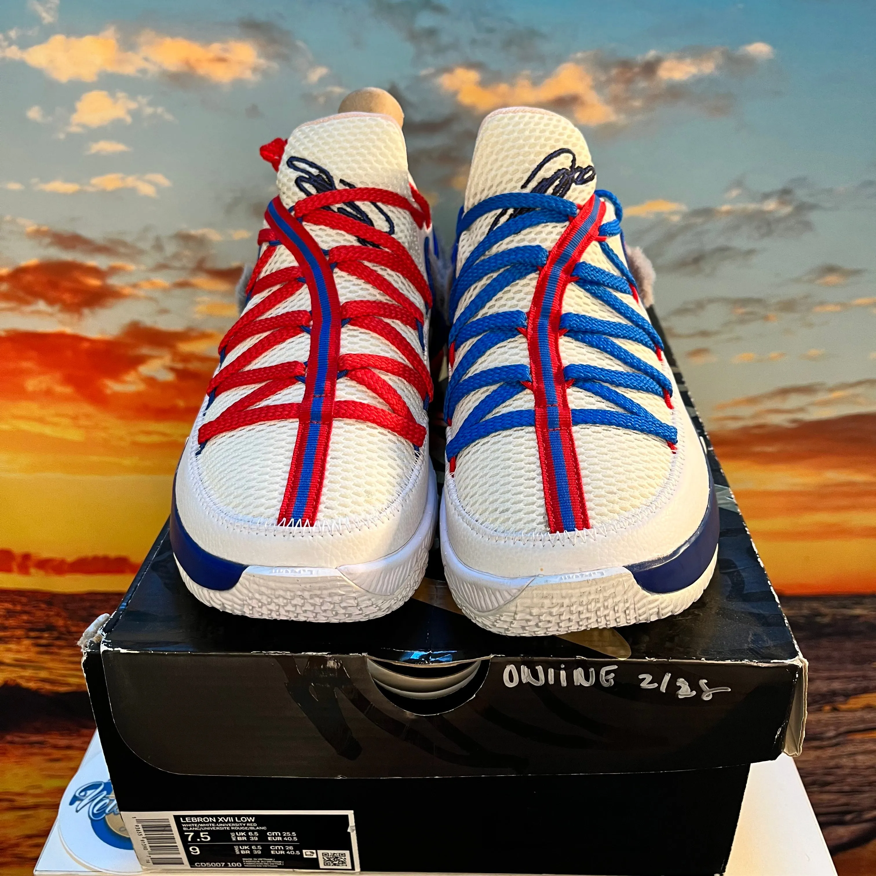 LeBron 17 Low 'Tune Squad'