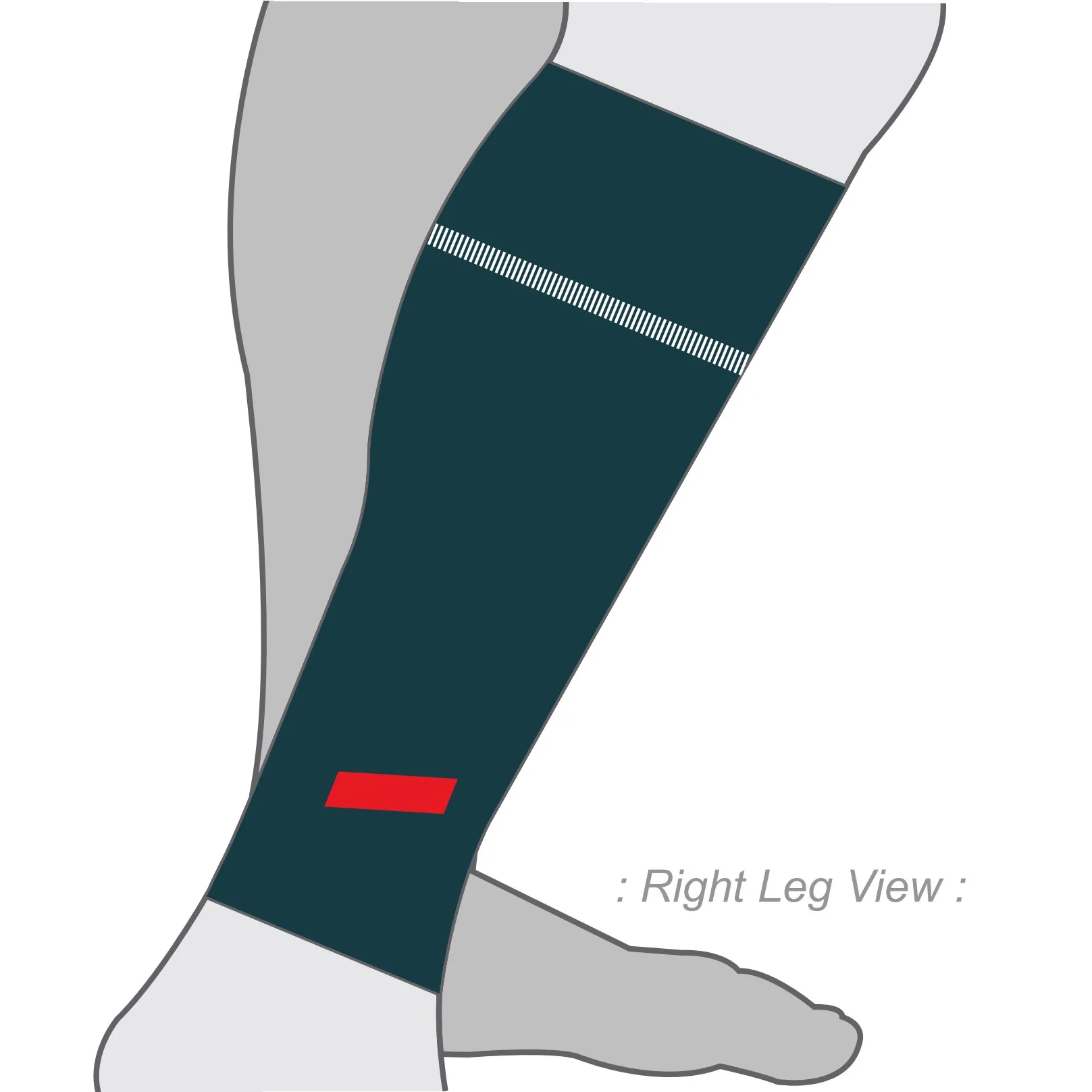 PERFORMANCE  Aero Calf Sleeves