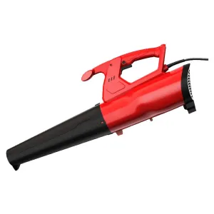 Portable Vacuum