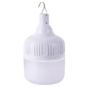 Rechargeable Portable Light Bulb 50W 4800mAh - FY-05