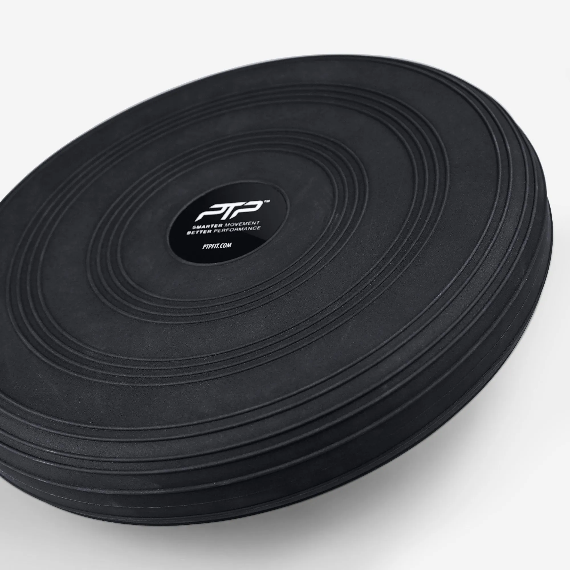 STABILITY DISC