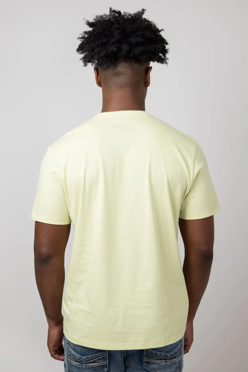 The North Face Half Dome T-Shirt for Men in Nettle | NF0A812M-5XI-YLW