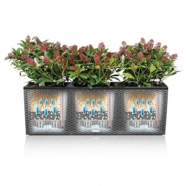 Trio Cottage Patio Planter | Outdoor Planter | Rectangle Planter