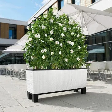 Trio Cottage Patio Planter | Outdoor Planter | Rectangle Planter