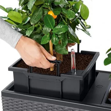 Trio Cottage Patio Planter | Outdoor Planter | Rectangle Planter