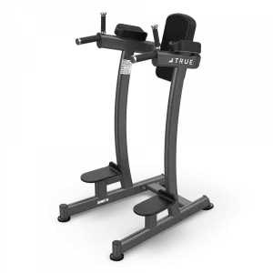 True XFW-6400 Vertical Knee Raise/Dip