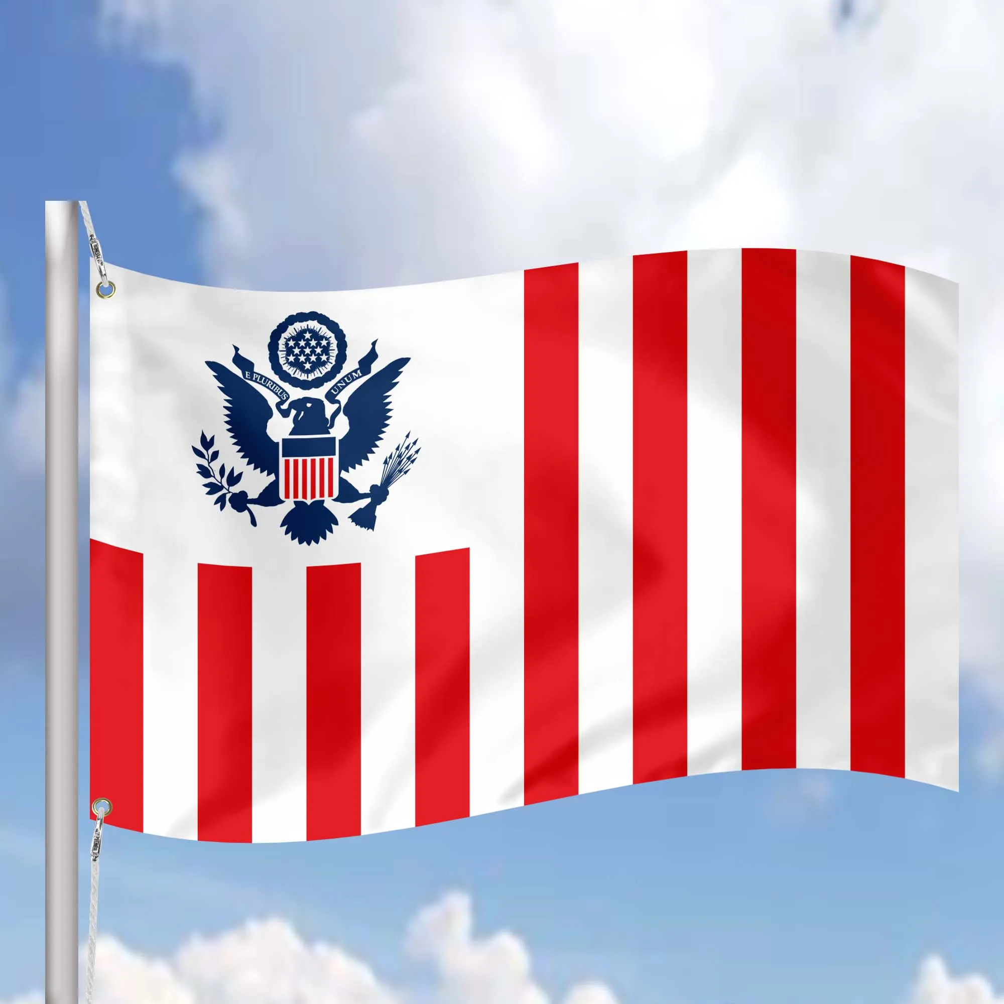 United States Customs Service USA Flag Banner
