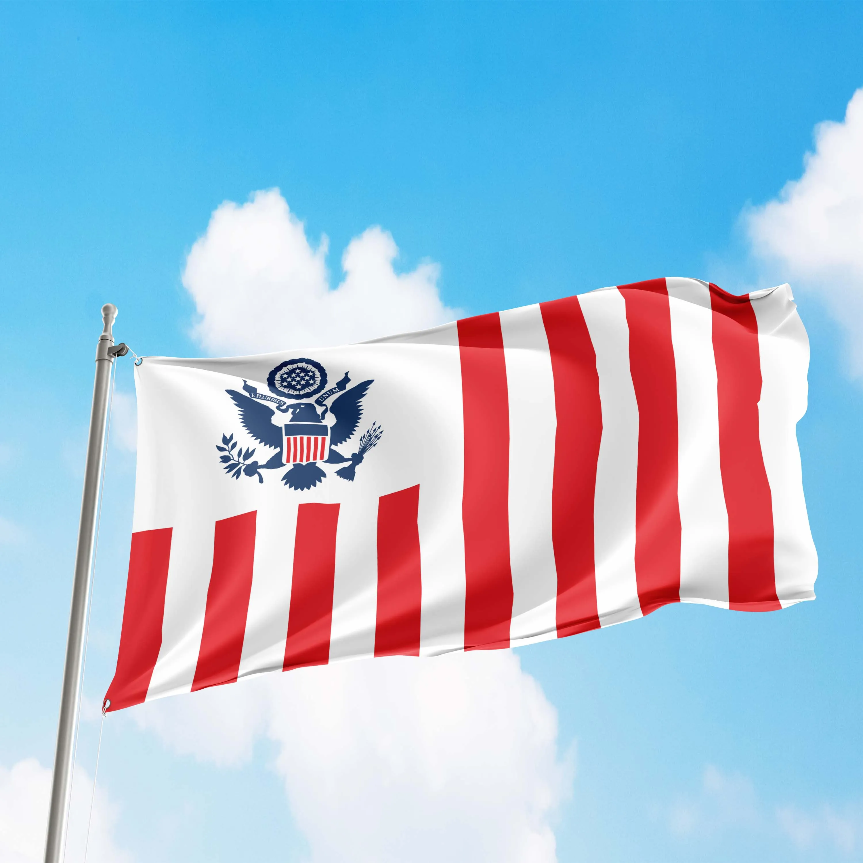 United States Customs Service USA Flag Banner