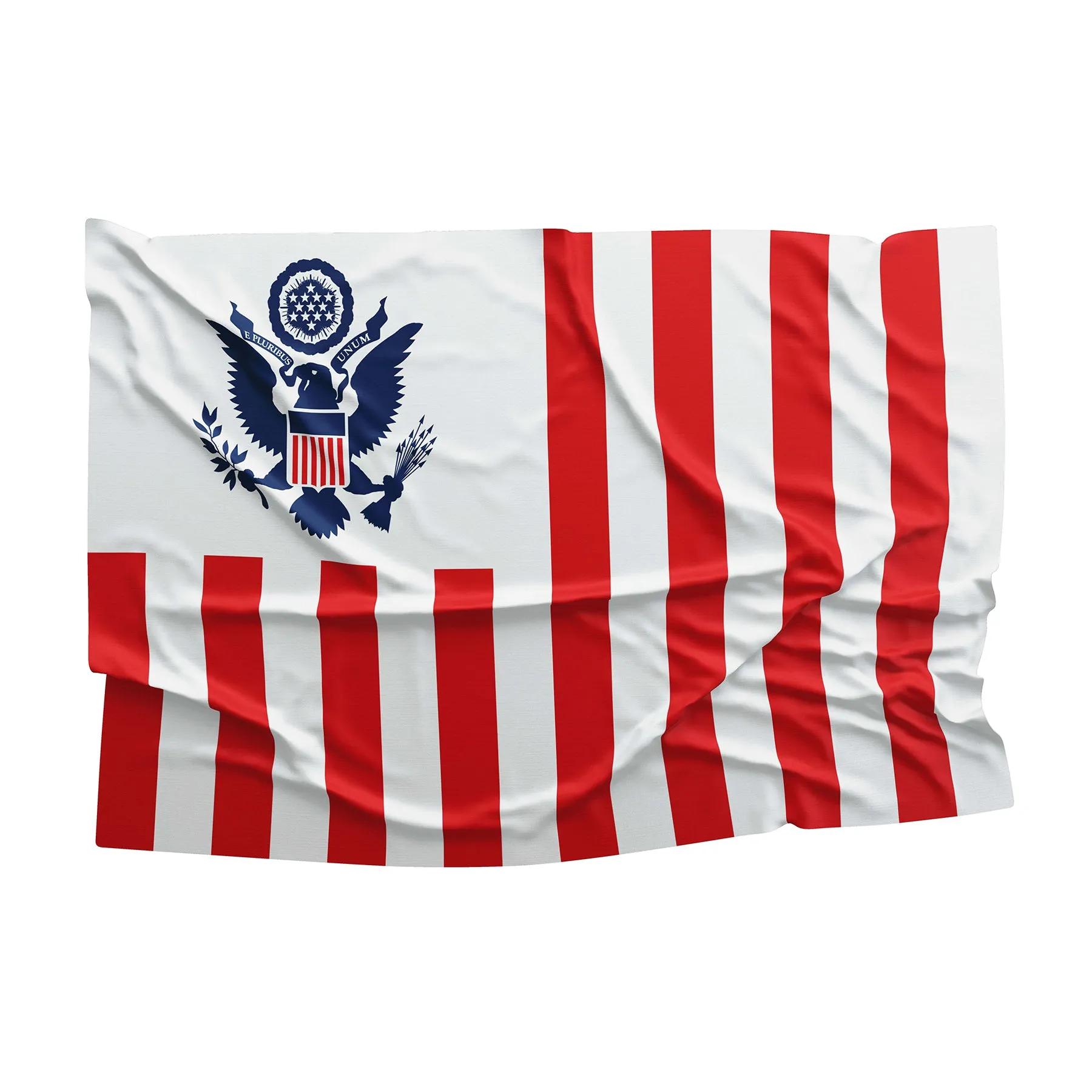 United States Customs Service USA Flag Banner
