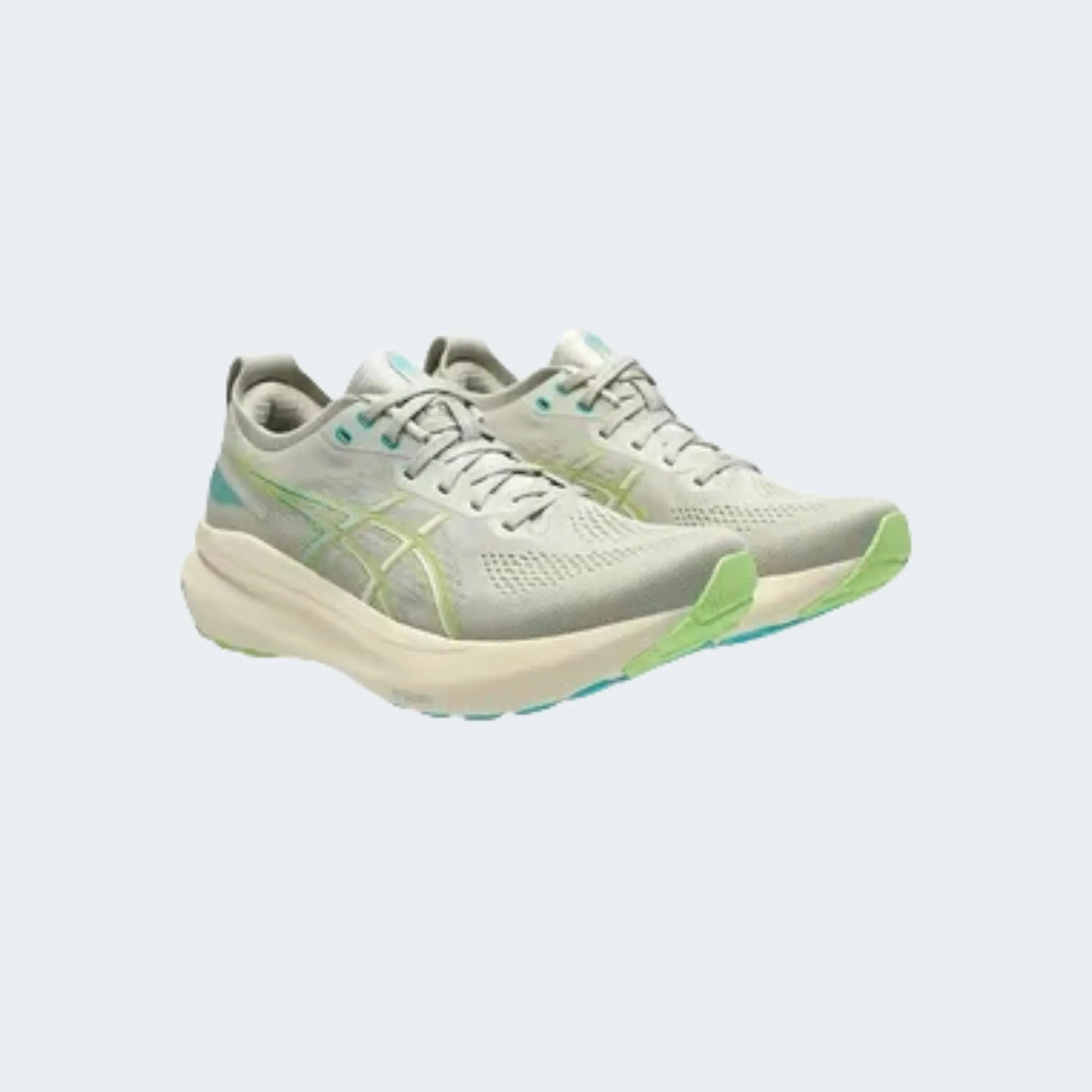 WHITE SAGE/BIRCH GEL-KAYANO 31