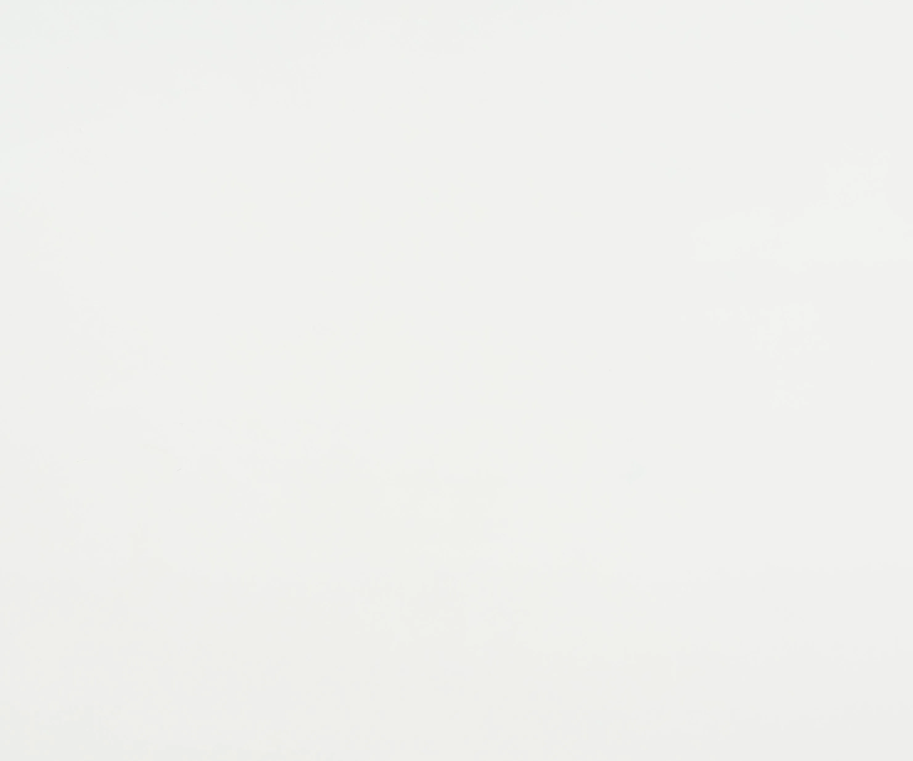 White Versatile Shoe Rack Shelving Unit